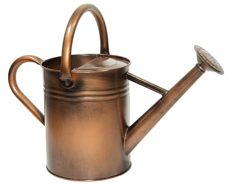 yourjoy Galvanized Metal Watering Can, One Gallon Watering Cans for Outdoor Indoor Garden Plants Watering with Luminous Panit - Image 1